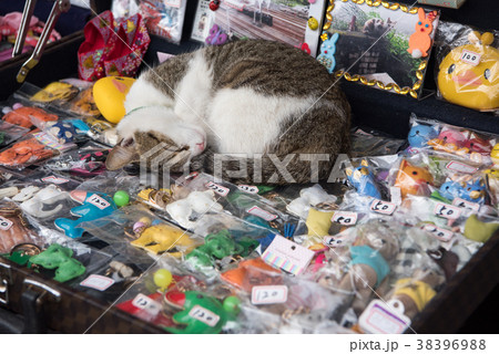 台湾 猴硐 ホウトン (猫村) 台湾 猴硐 ホウトン (猫村) 38396988