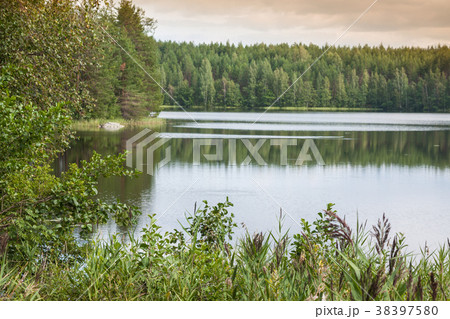 summer evening scene at Ruunaa hiking area, 38397580