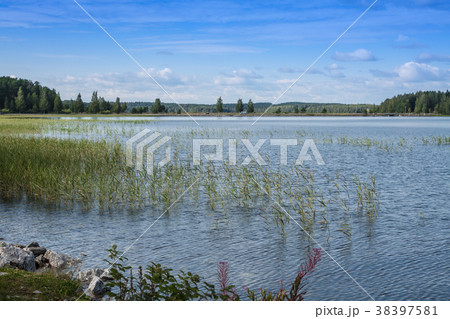 summer evening scene at Ruunaa hiking area, summer evening scene at Ruunaa hiking area, 38397581