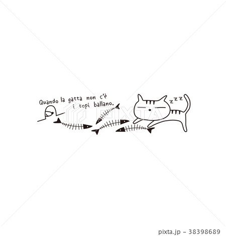 猫 猫 38398689