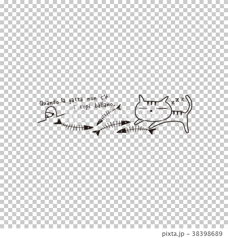 猫 猫 38398689