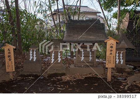 川越氷川神社　摂社　末社　八坂神社　馬頭観音 38399517