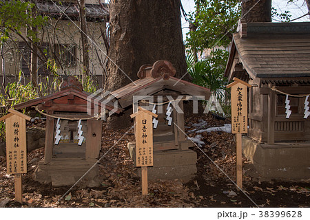 川越氷川神社 摂社 末社 日吉神社 加太栗嶋仁社 川越氷川神社 摂社 末社 日吉神社 加太栗嶋仁社 38399628
