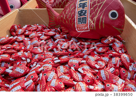 川越氷川神社 おみくじ 縁結びの神 安産祈願の写真素材