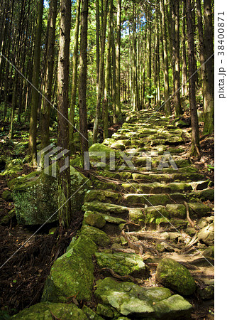 熊野古道 38400871