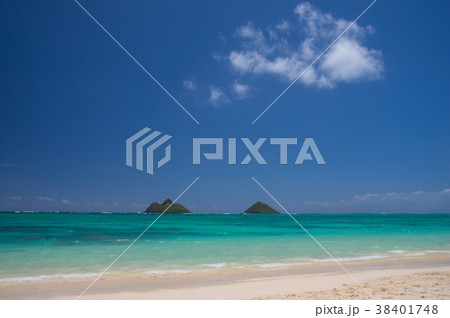 ハワイの風景 ラニカイビーチ ハワイの風景 ラニカイビーチ 38401748