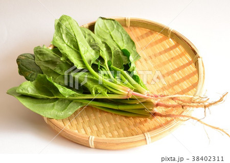 ほうれん草・食材 ほうれん草・食材 38402311