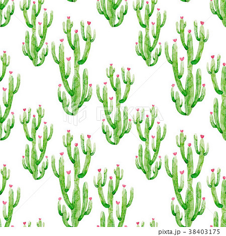 Watercolor cactus vector pattern 38403175