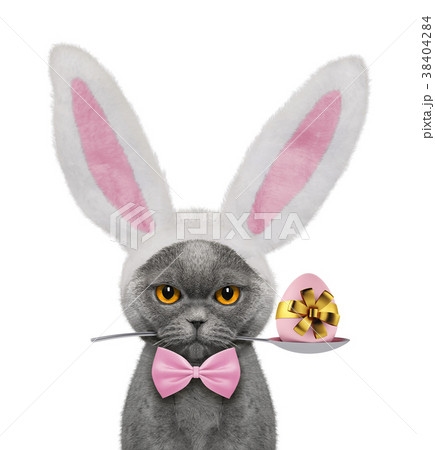 Pretty cat with rabbit ears and easter egg 38404284