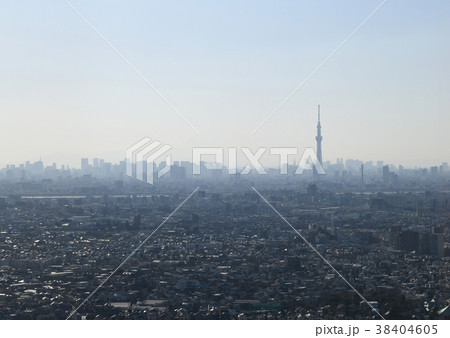 日本の東京都市景観 東京タワーや東京スカイツリー 新宿の超高層ビル群などを望む の写真素材