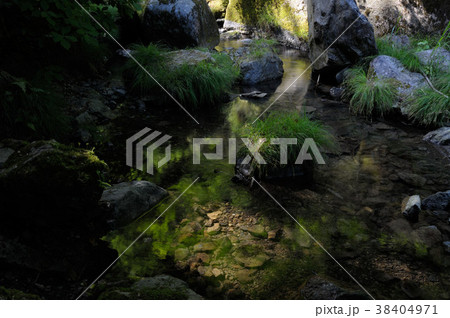 あきる野清流 あきる野清流 38404971