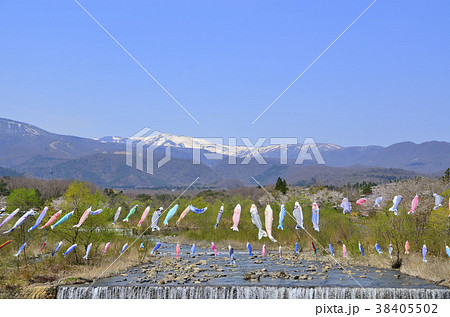 青空と鯉のぼりと蔵王　宮城県蔵王町 38405502