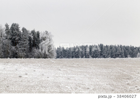 Winter landscape Winter landscape 38406027