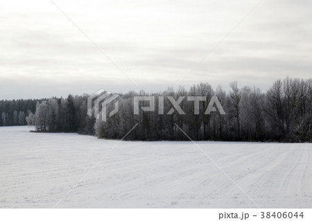 Snow drifts in winter 38406044