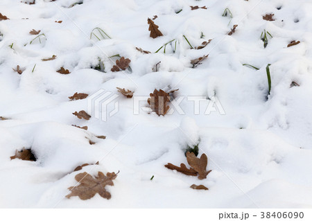 Snow drifts in winter Snow drifts in winter 38406090