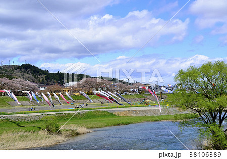 青空と桜と鯉のぼり　山形県金山町 38406389