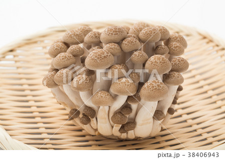 しめじ しめじ 38406943