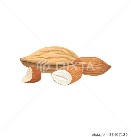 Cartoon hand drawn icon of almond nuts. Healthy 38407126