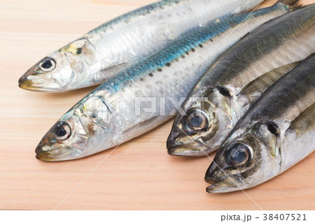 鯵と鰯 38407521
