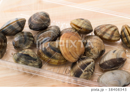 あさり 38408343