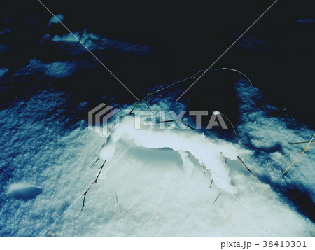 Long grass stalks are sticking up from powder snow 38410301