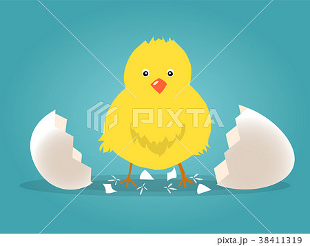 Chick Born Broken Shell Egg Vector のイラスト素材