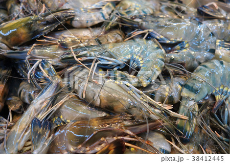 Fresh raw shrimps prawns Fresh raw shrimps prawns 38412445