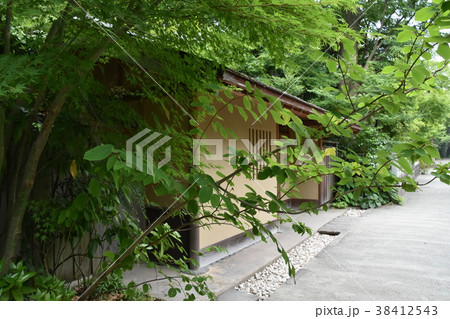 寒川神社 神嶽山神苑 寒川神社 神嶽山神苑 38412543