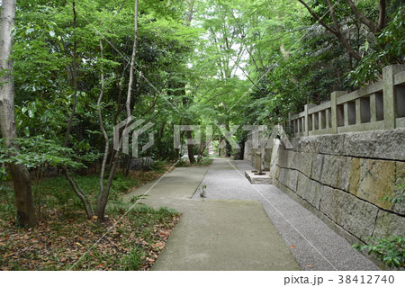 寒川神社 神嶽山神苑 寒川神社 神嶽山神苑 38412740