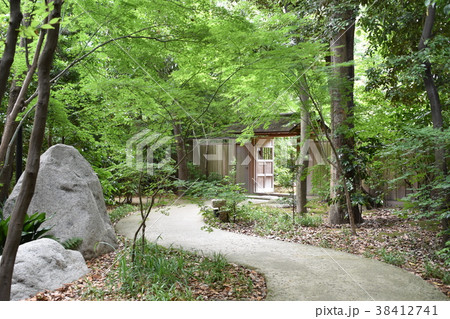 寒川神社 神嶽山神苑 寒川神社 神嶽山神苑 38412741