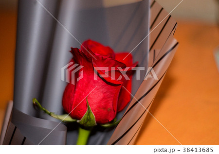 薔薇 バラ科 バラ 38413685