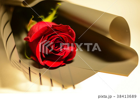 薔薇 バラ科 バラ 38413689