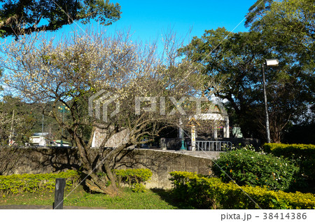 環境 アンビエント 環境的に 38414386