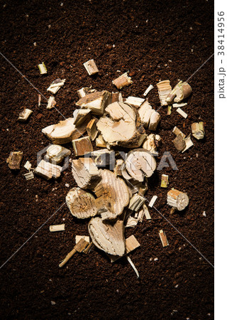桑 土 木 38414956
