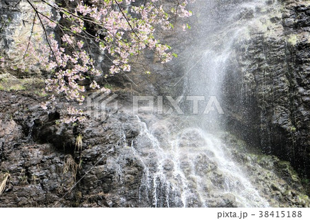 滝のある桜景 38415188