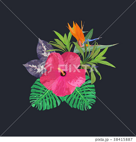 Bouquet with tropical plants. Set with isolated 38415887