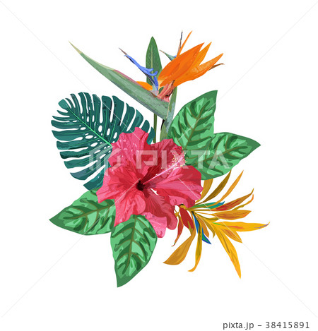 Bouquet with tropical plants. Set with palm leaves 38415891