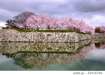 Himeji Castle Japan 38416768