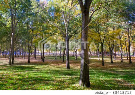 セゴビア 公園 Alameda de la Fuencisla 38418712