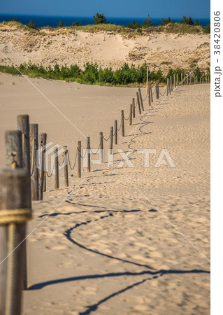 The dunes of the Slowinski national park in Poland 38420806