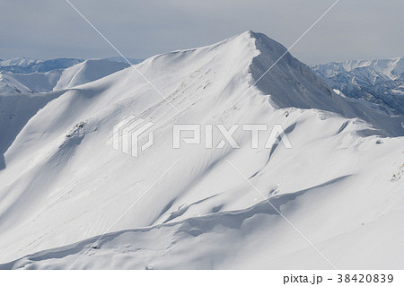 天神尾根から見たオジカ沢ノ頭 38420839