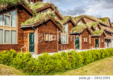 Typical norwegian house with grass on the roof 38421004