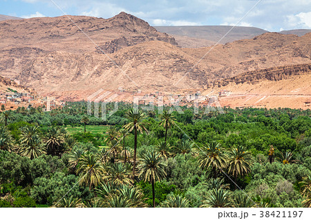 Tinerhir village near Georges Todra at Morocco 38421197