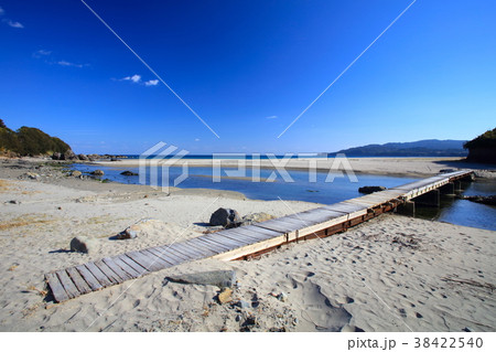 足摺岬、大岐の浜（おおきのはま）「ウミガメの産卵地」「サーフィンの人気ポイント」「足摺宇和国立公園」 38422540