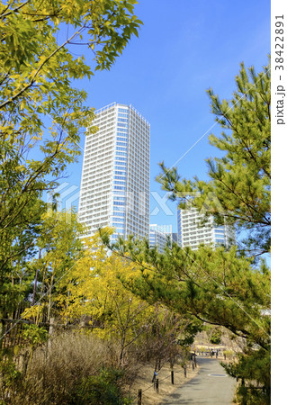 二子玉川公園と高層アパ-ト 38422891