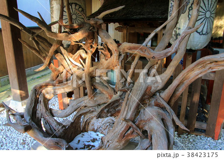 建部大社 建部大社 38423175