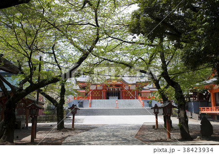 花園神社 38423934