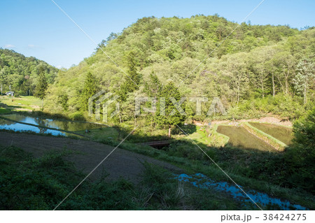 広島の県北の小さな段々畑 広島の県北の小さな段々畑 38424275