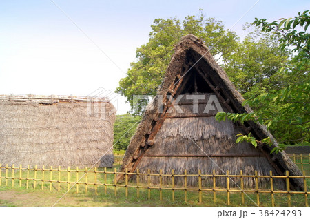 蜆塚遺跡住居 38424293