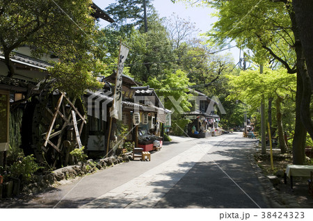 深大寺 深大寺 38424323